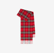 Burberry Scarves